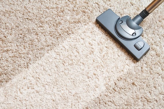 Carpet Cleaning Forest Hill